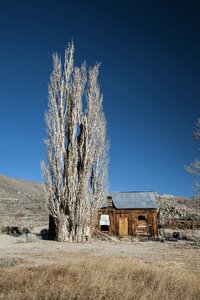 California log cabin old
