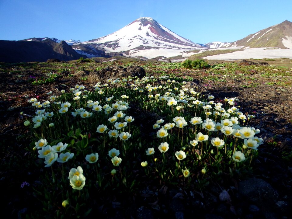 Mountains landscape nature