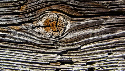 Board wooden texture