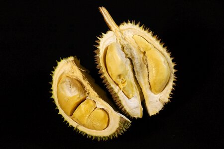Delicious thorny fruit malaysia