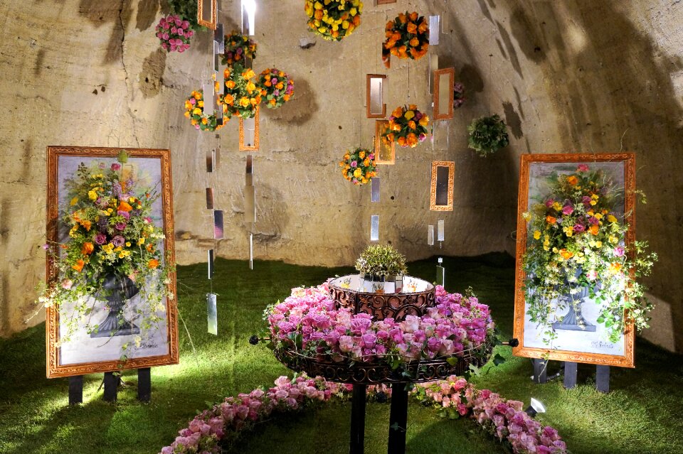Cave garden flowers