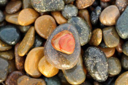 Rock the beach natural