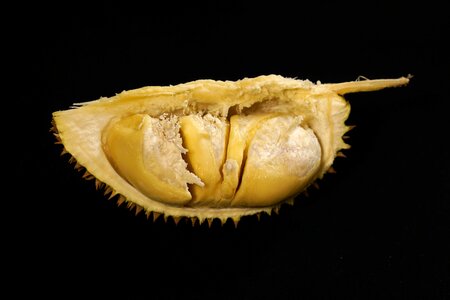 Delicious thorny fruit malaysia