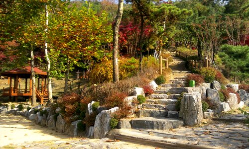 Nature autumn leaves park