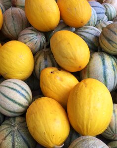 Harvest orange ripe