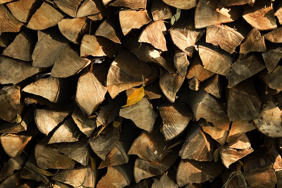 Holzstapel growing stock nature