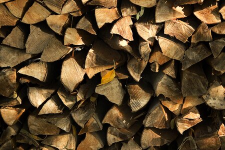 Holzstapel growing stock nature photo
