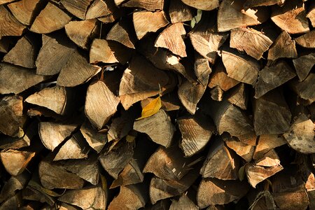 Holzstapel growing stock nature