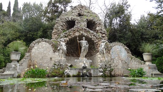 Fountain botanical