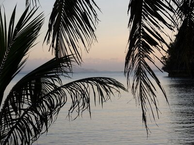 Sunset relax sea