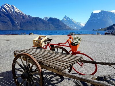 Landscape fjord fiordland