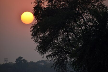 Sun rise nature photo