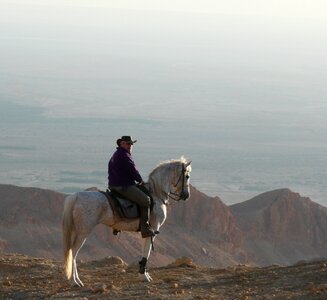 Horse desert hike