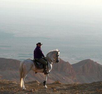 Horse desert hike photo