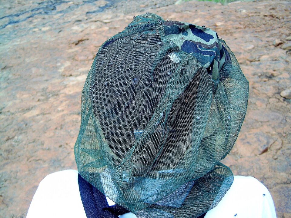 Hair net protection bug