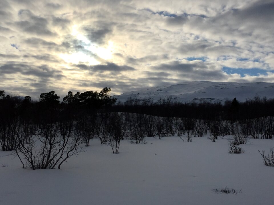 Abisko snow sweden photo