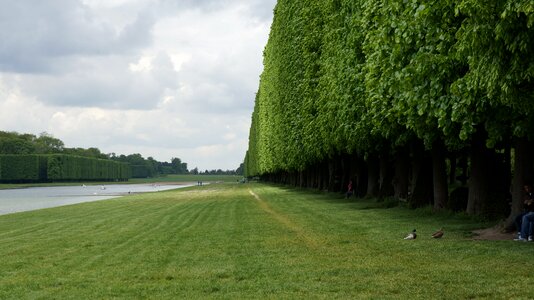 Green nature spring