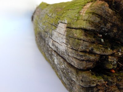 Fence wheels wooden photo