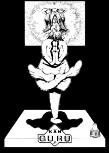 Kangaroo guru enlightenment
