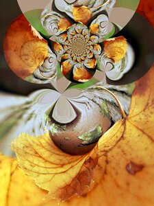 Ornament autumn graphic