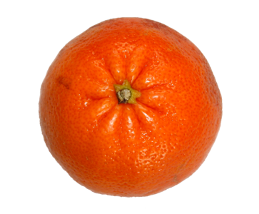 Tangerine orange food