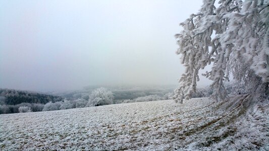 Fields frost winter photo