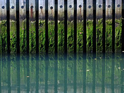Algae dock