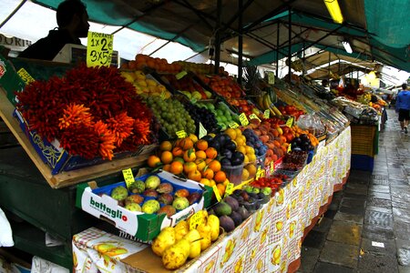 Europe trade fruit