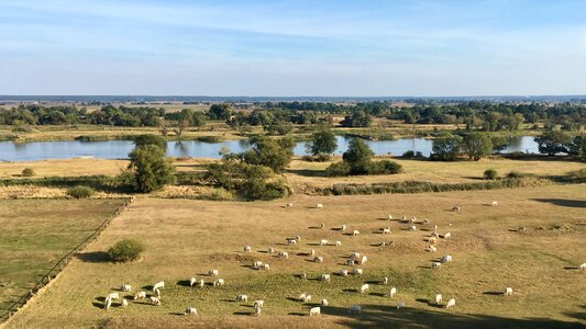 Lebus river floodplain or limit