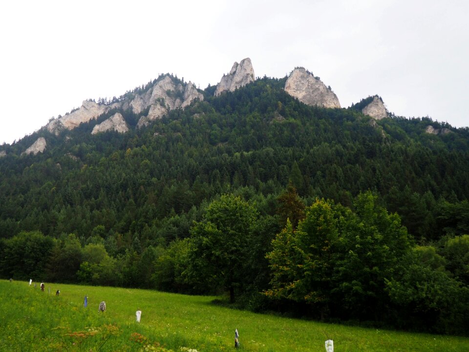 Mountains nature landscape