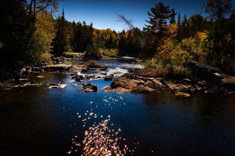 Water courses trees water photo