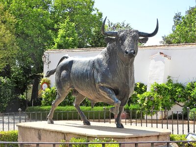 Spain ronda bull fighting photo