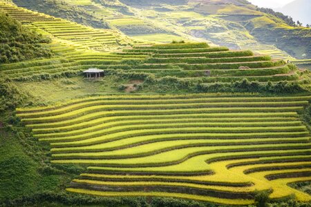 Vietnam dien bien south east asia photo