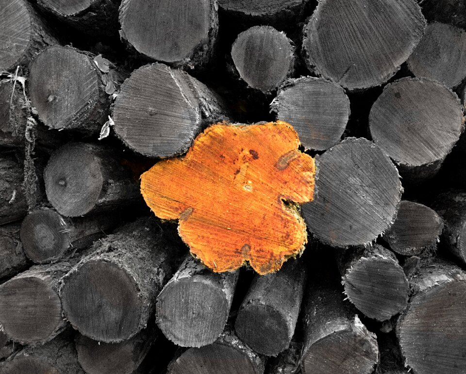 Wood nature color