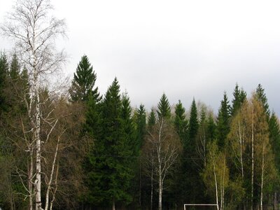 Sky nature landscape