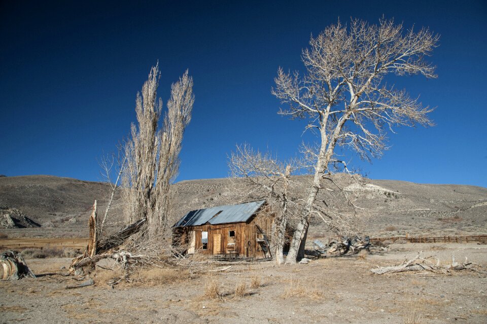California log cabin old