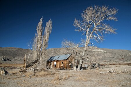 California log cabin old