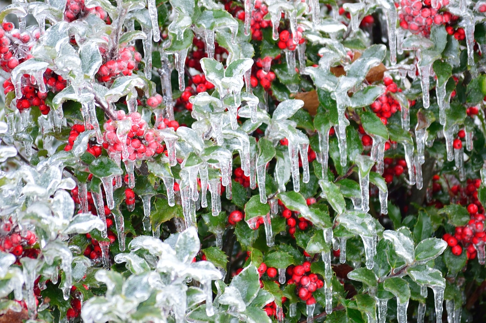 Nature weather freeze