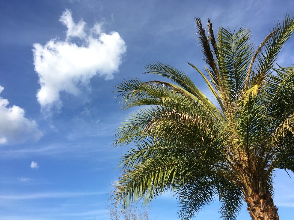 Blue sky travel