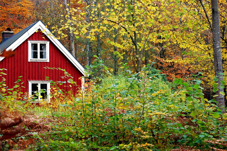 Indian summer fall color holiday house