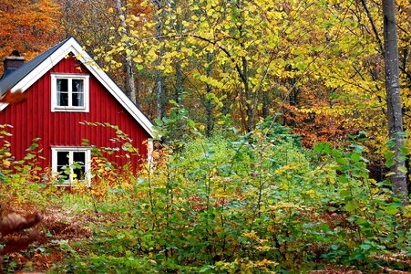 Indian summer fall color holiday house