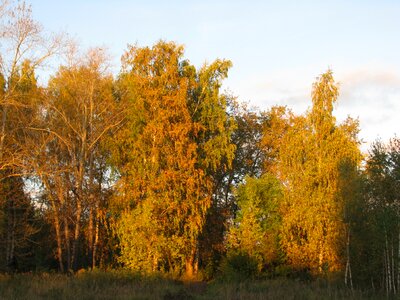 Autumn landscape nature photo