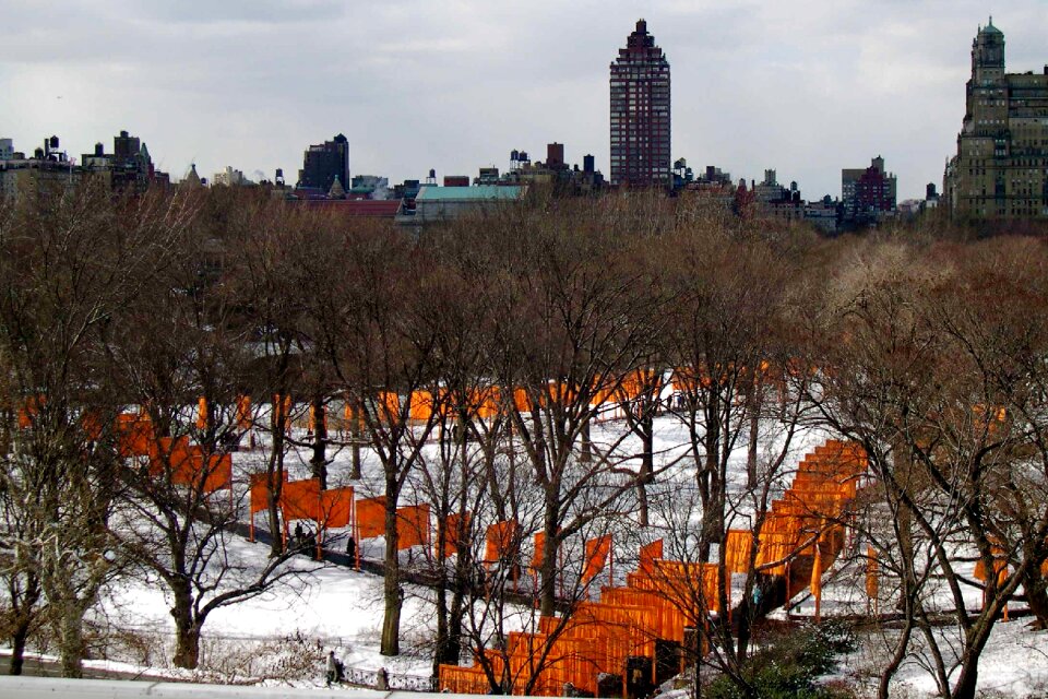 Winter central park new york park photo