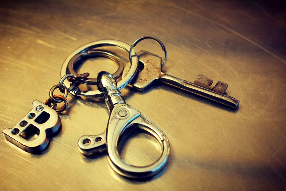 House ring security