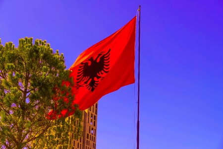 Flag tirana