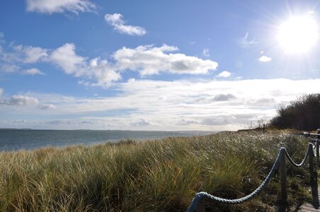 Sylt north sea dunes photo