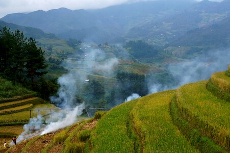 Smoke rice field vietnam photo