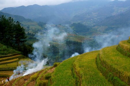Smoke rice field vietnam