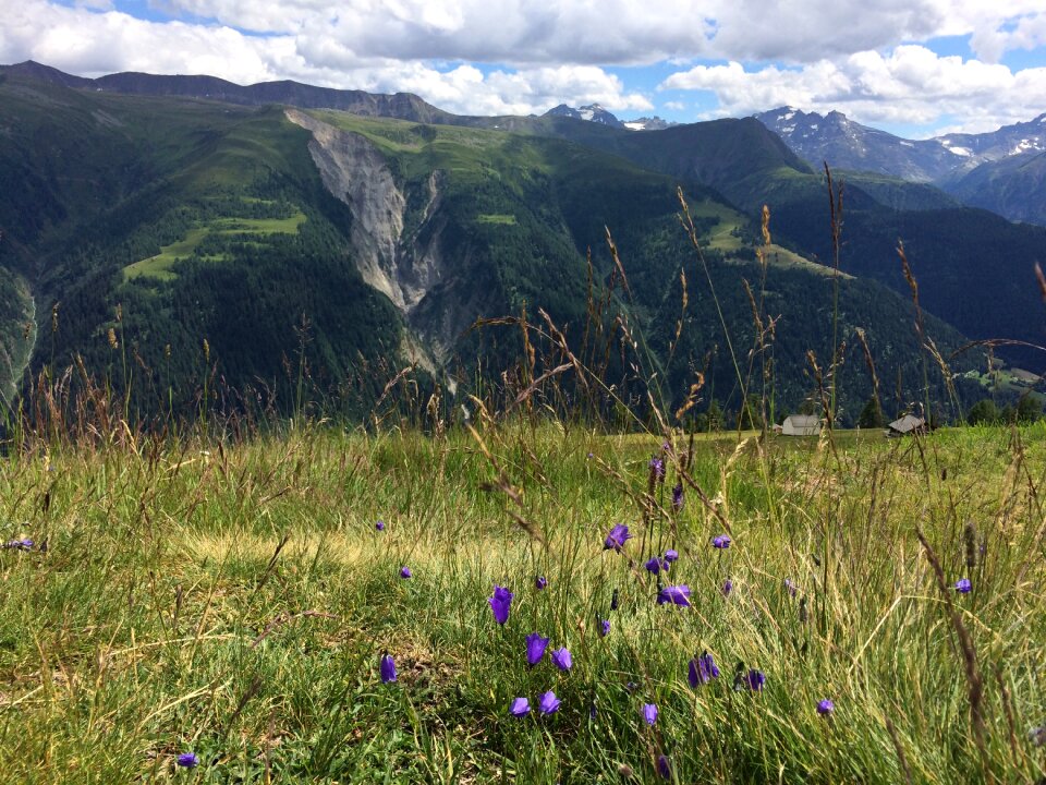 Landscape alp swiss alps