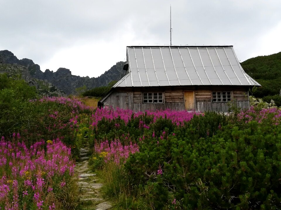 The high tatras landscape nature